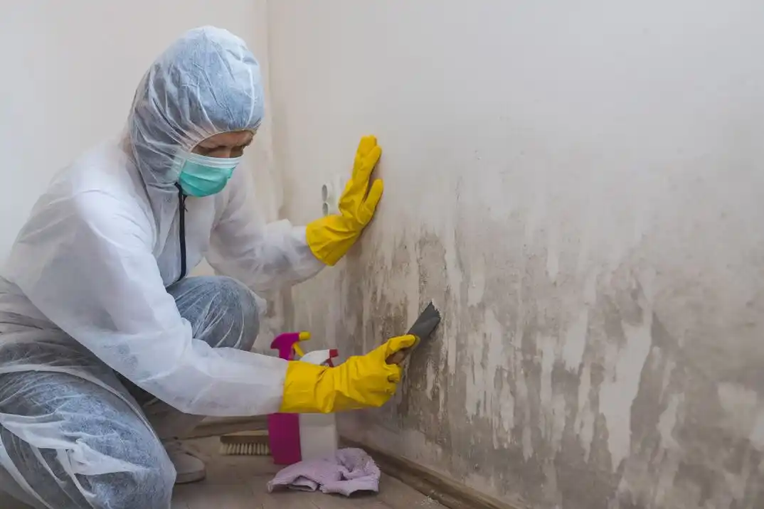 water damage restoration service Hazel Dell North